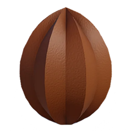 Cacao